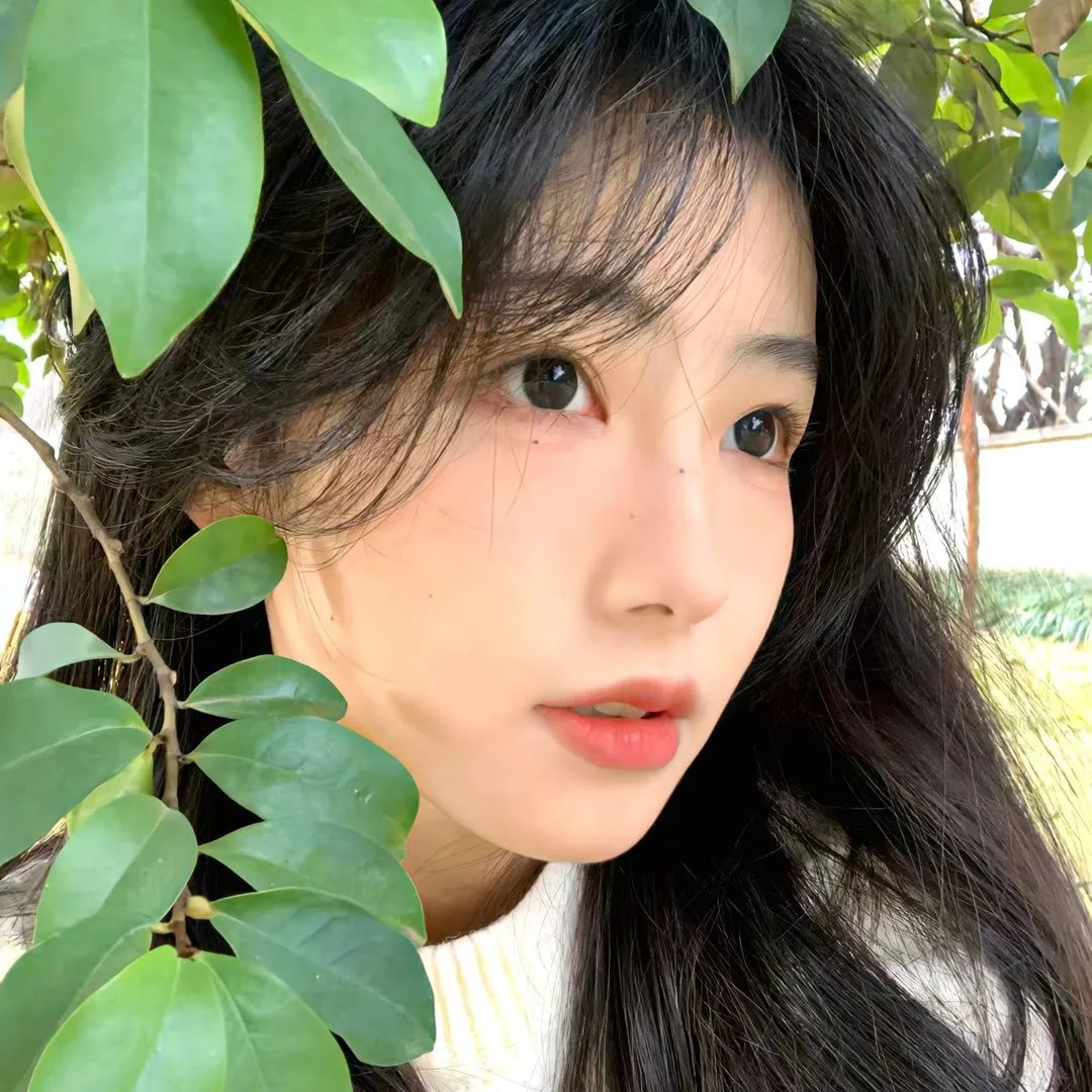 蔷薇少女 序曲